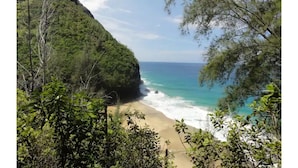 A coastal landscape with a beach, dense greenery, and a cliff.