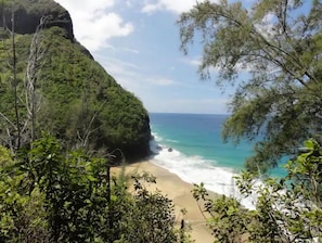 A coastal landscape with a beach, dense greenery, and a cliff.