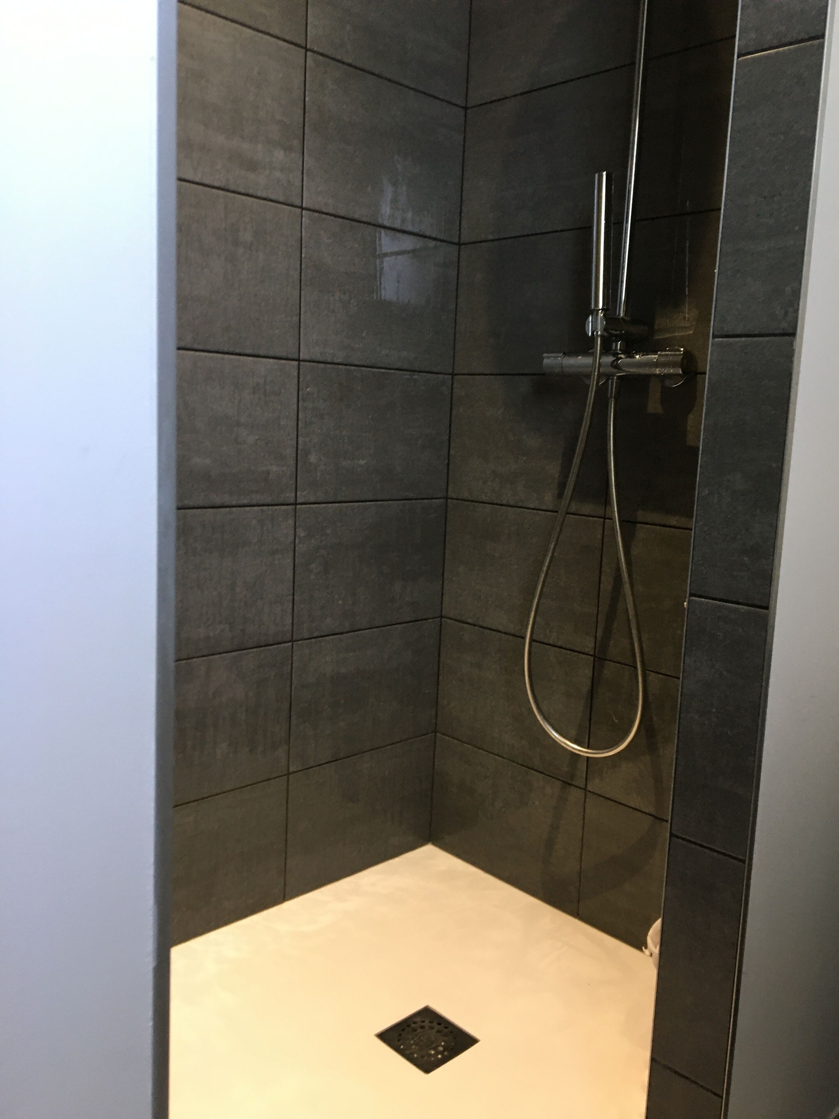 Ducha, secador de pelo, toallas y papel higiénico
