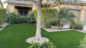 A well-maintained lawn with a tree and shrubs in front of a building.