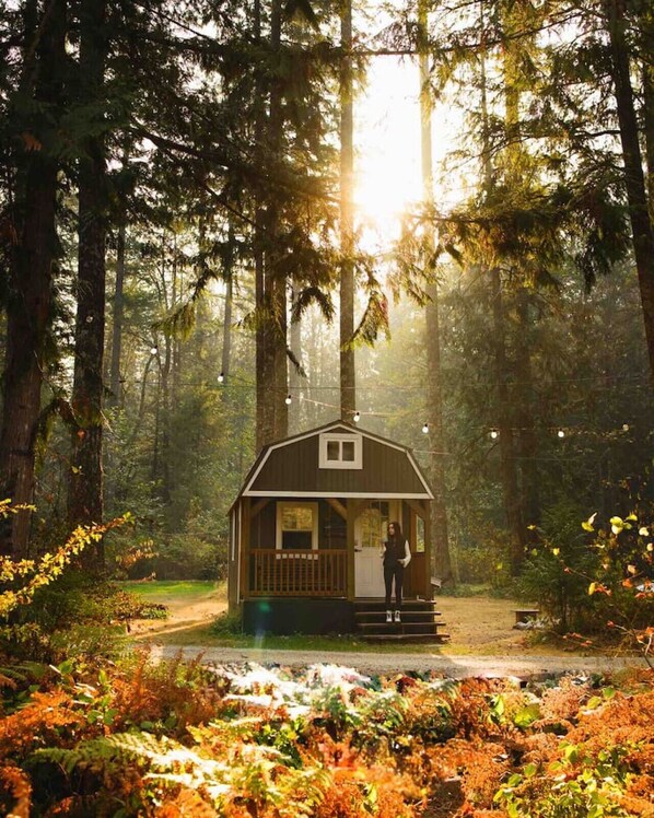 Een chalet in een bos, met een veranda en een persoon die erop staat.