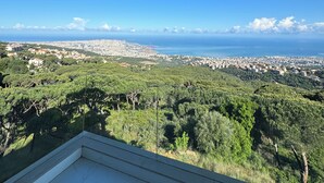 Varanda com vista para um horizonte costeiro, incluindo edifícios e o mar.