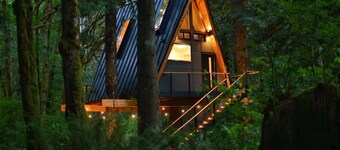 The Treeframe Cabin
