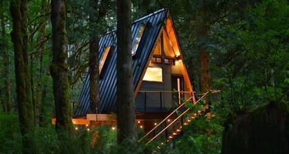 The Treeframe Cabin
