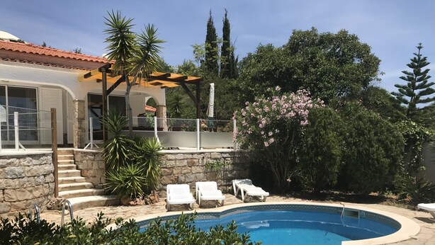 Piscina com espreguiçadeiras, escadaria de pedra e vegetação exuberante.