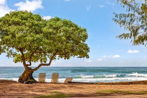 Relax under the shade of a majestic tree, with ocean views and comfortable seating for two.