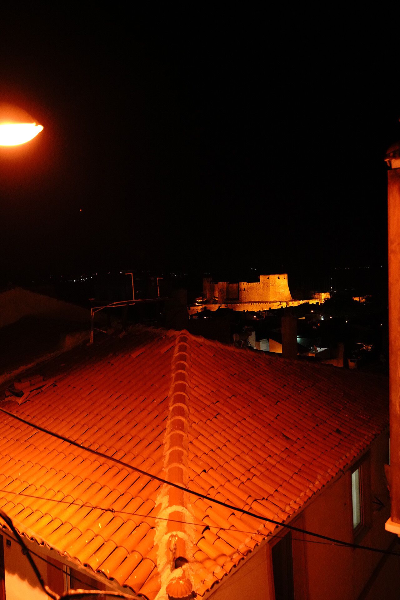 A rooftop with a tiled surface, a streetlight, and a distant castle-like structure.