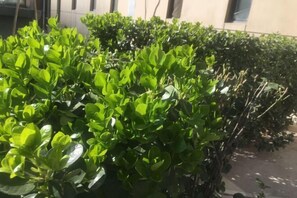 Exterior detail - Bai Hua Ting International Hotel (Jinan)