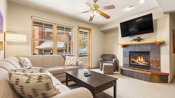 Televisión, chimenea, reproductor de DVD y videoteca