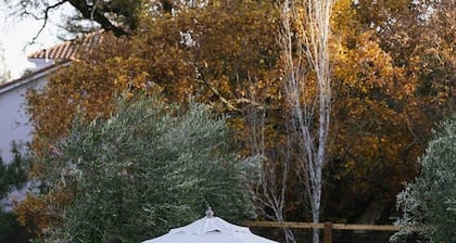 Luxury Vineyard Creek Ranch Sonoma