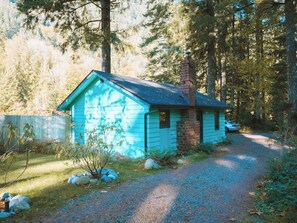 Exterior - Tire Swing · O'Neill Cabin - a rustic reclaimed retreat (Index)