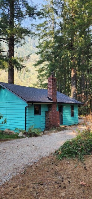 Exterior - Tire Swing · O'Neill Cabin - a rustic reclaimed retreat (Index)
