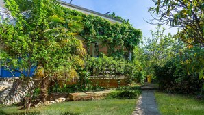 Ein Gartenweg führt zu einem Gebäude mit einer blauen Tür, umgeben von üppiger Vegetation und Weinreben.