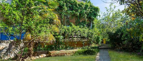Un vialetto alberato conduce a un edificio con una porta blu, immerso nel verde e nella vegetazione lussureggiante.