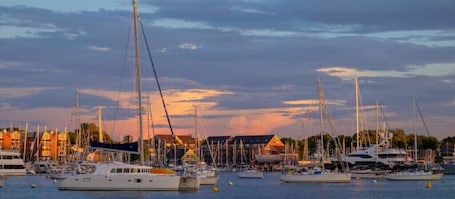 Marina. Secluded Cozy Cottage in Historic Downtown