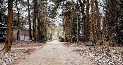 2 bedroom gorgeous home in Rheezerveen