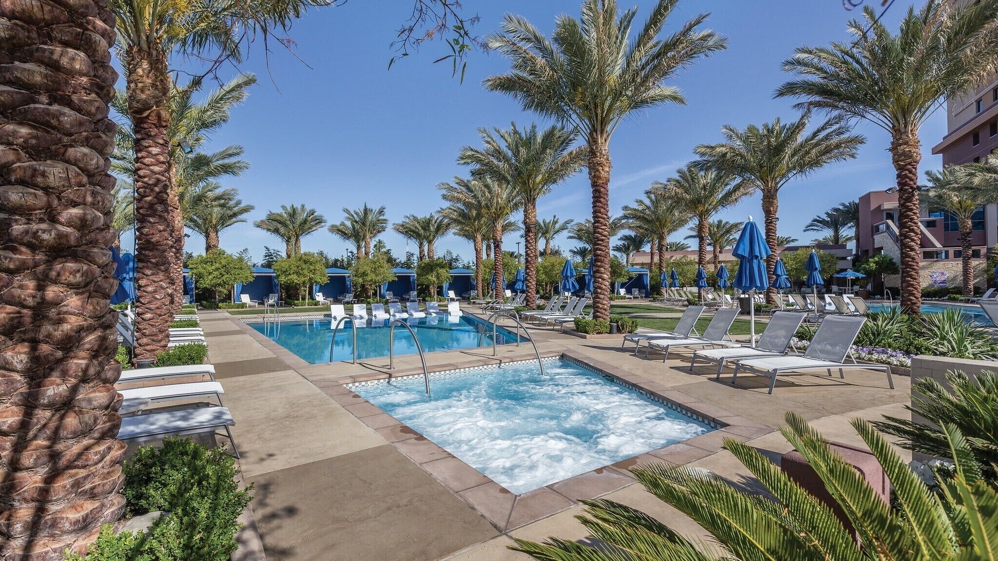 Zona de piscina con sillones de descanso y sombrillas, rodeada de palmeras.