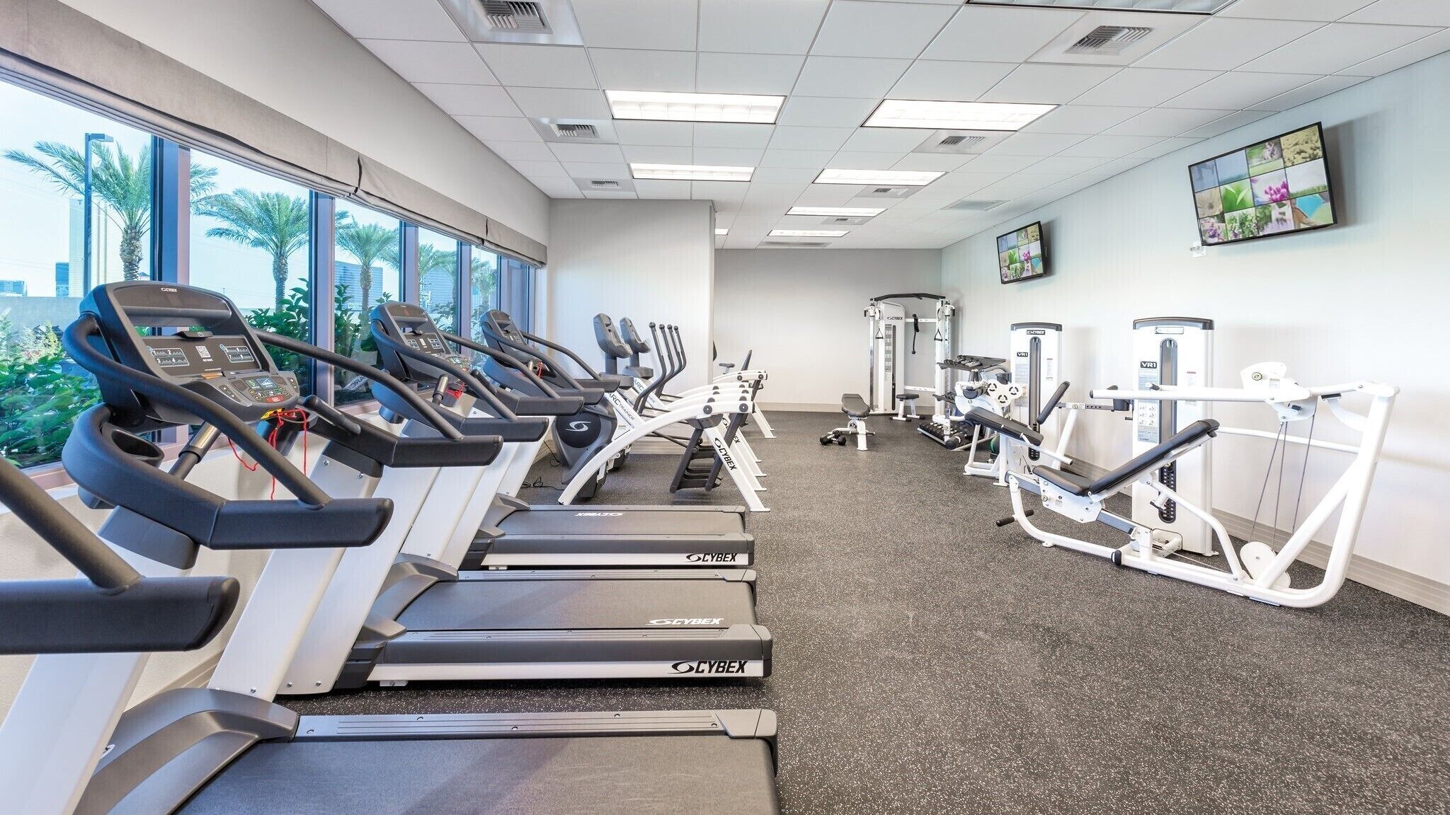 A gym with treadmills, elliptical machines, and weight equipment.