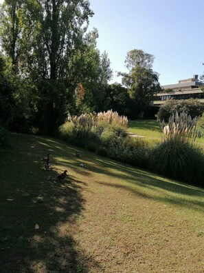Property grounds - Nice Apartment near the Gulbenkien Garden and corte ingles in center of Lisbon (Lisboa)
