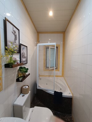 Regadera, amenidades de baño ecológicas, secadora de cabello, toallas 