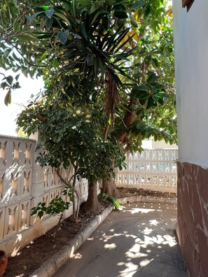 Terrein van de accommodatie