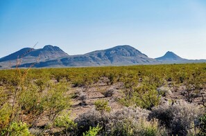 Miscellaneous - Camp Eldorado (Terlingua)
