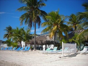 Property grounds - The Islander 3BR Pool Oasis in Key Colony- KCB#1 (Key Colony Beach)
