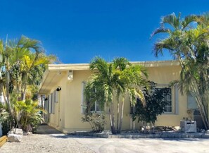Stunning two-story building with a flat roof and symmetrical design, set amidst lush palm trees.