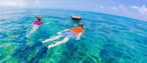 Two people swimming in clear blue water with a boat visible in the distance.
