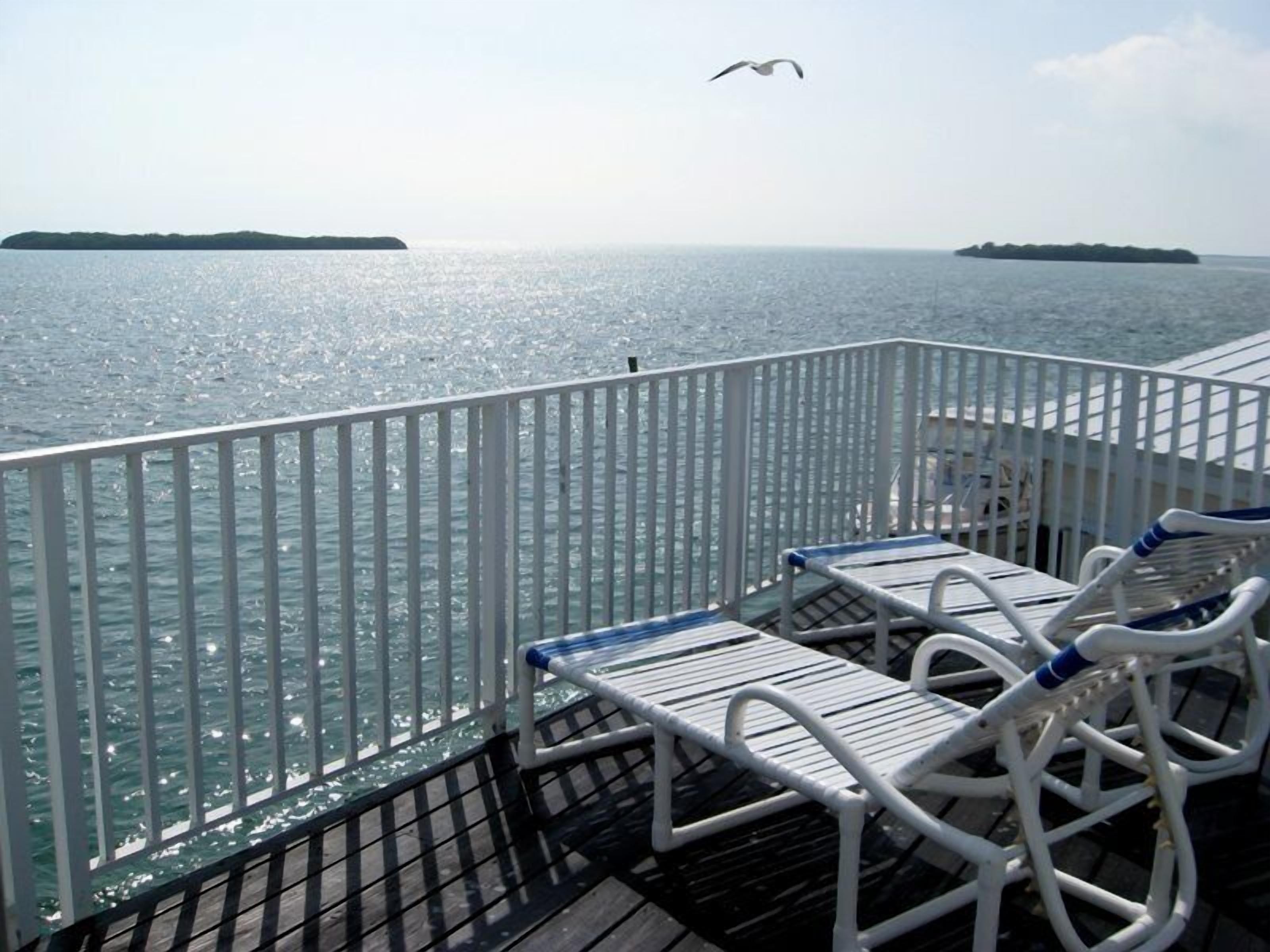 A deck with white metal railings and lounge chairs with blue cushions.