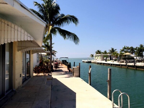 A waterfront property with a dock, palm trees, and a building with a white facade and a covered outdoor seating area.
