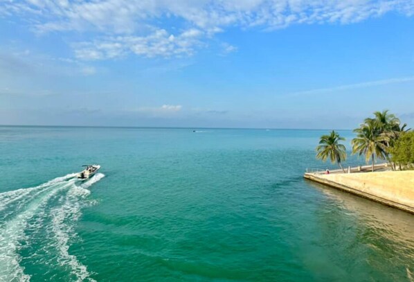 Un bateau navigue sur une mer calme, sous un ciel dégagé, avec des palmiers sur la côte.