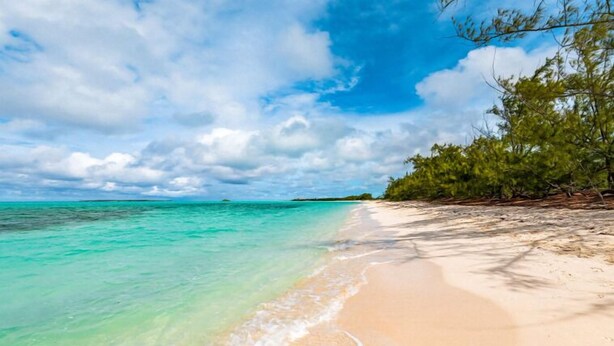 Una playa con agua turquesa cristalina, orilla de arena y exuberante follaje verde.