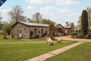 Exterior - Ferienbungalow für max 4 Personen, Haustielfreundlich, Wlan, Kamin - Ferienresort Möwenort Lütow (Lütow)