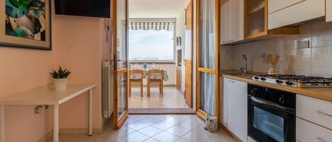 Fridge, oven, stovetop, cookware/dishes/utensils