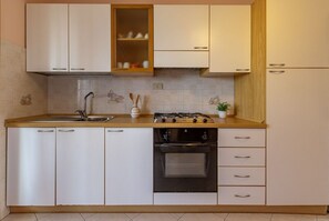 Fridge, oven, stovetop, cookware/dishes/utensils