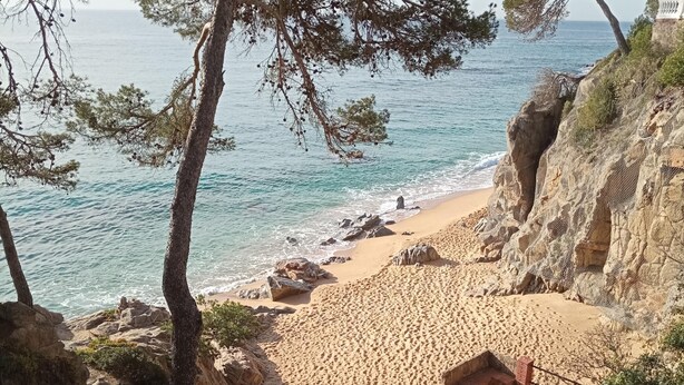 شاطئ