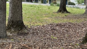 Un bâtiment doté d’un toit plat, entouré d’arbres et bordé par une étendue d’eau.