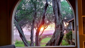 Vista a través de una ventana mostrando un paisaje arbolado con atardecer.