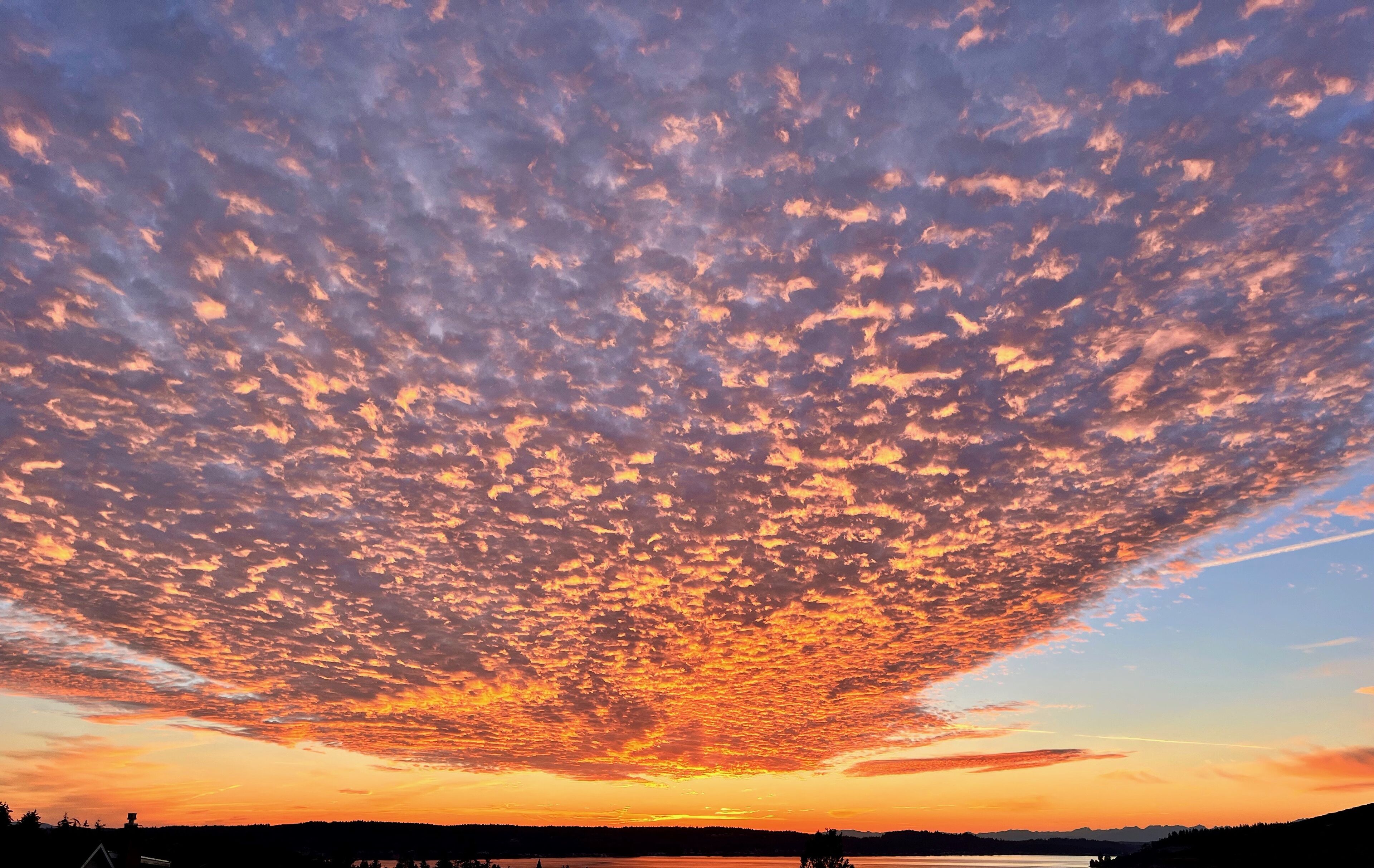 Soundview Suite Cottage, 3 mins from beach, close to 6 hospitals