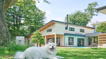 Una casa moderna con un jardín extenso y un perro blanco y esponjoso tumbado sobre el césped.