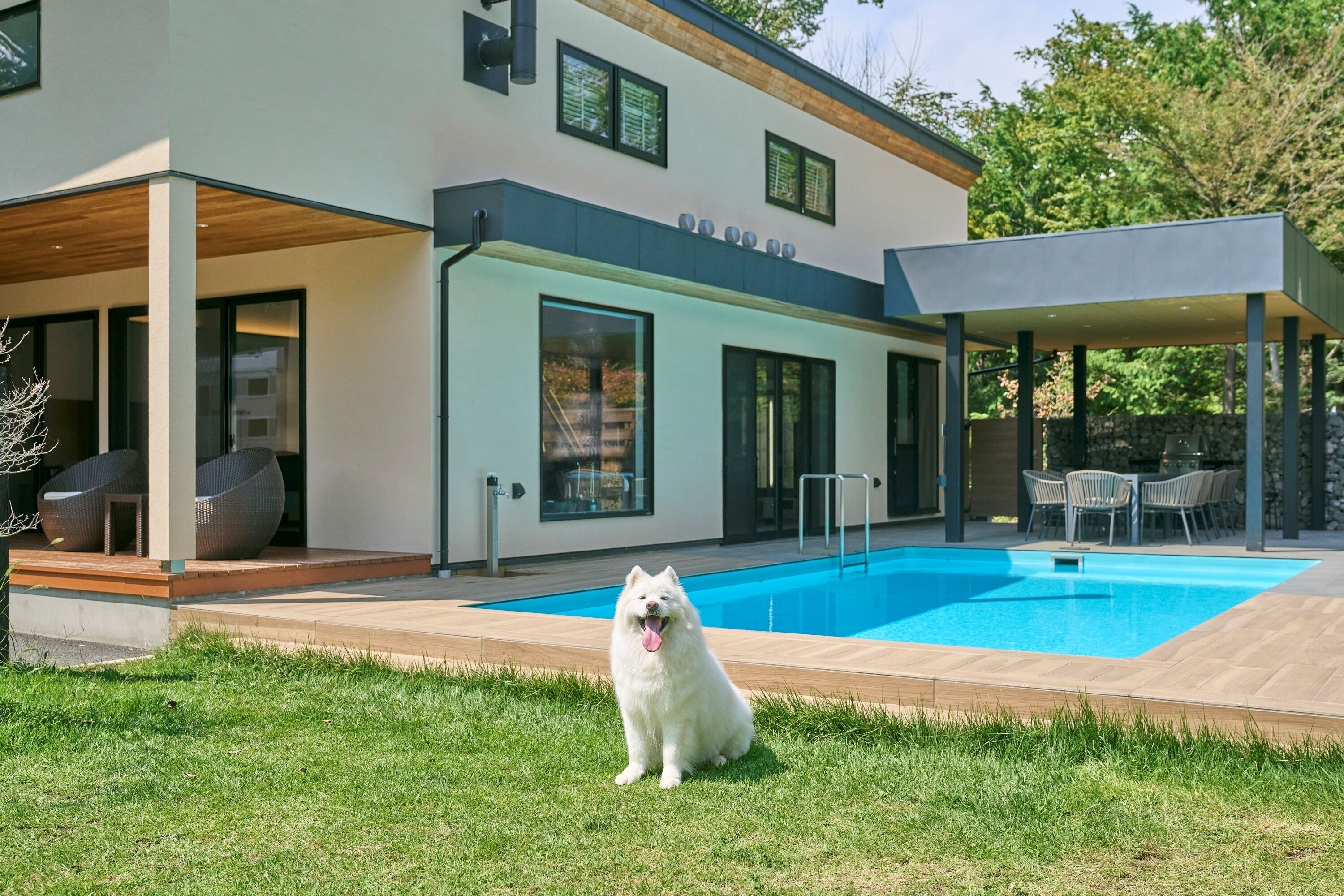 Pet-friendly