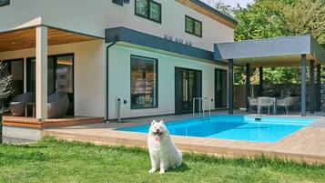 Pet-friendly