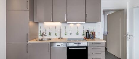 Fridge, oven, stovetop, dishwasher