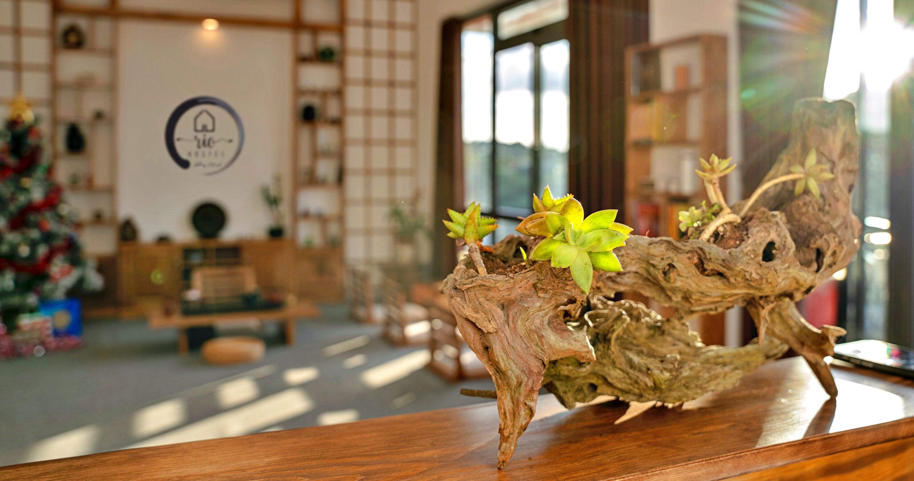 40-inch LCD TV with cable channels, TV