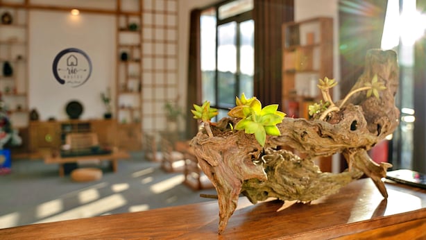 Una mesa de madera con un adorno de plantas verdes.