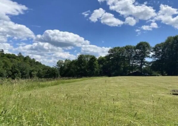 A grassy field with trees in the background and a clear blue sky. - Airstream Glamping in The Adirondack Foothills (Argyle)