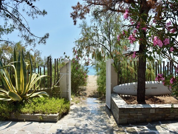 A pathway leading to a beach with a gate, surrounded by plants and trees.