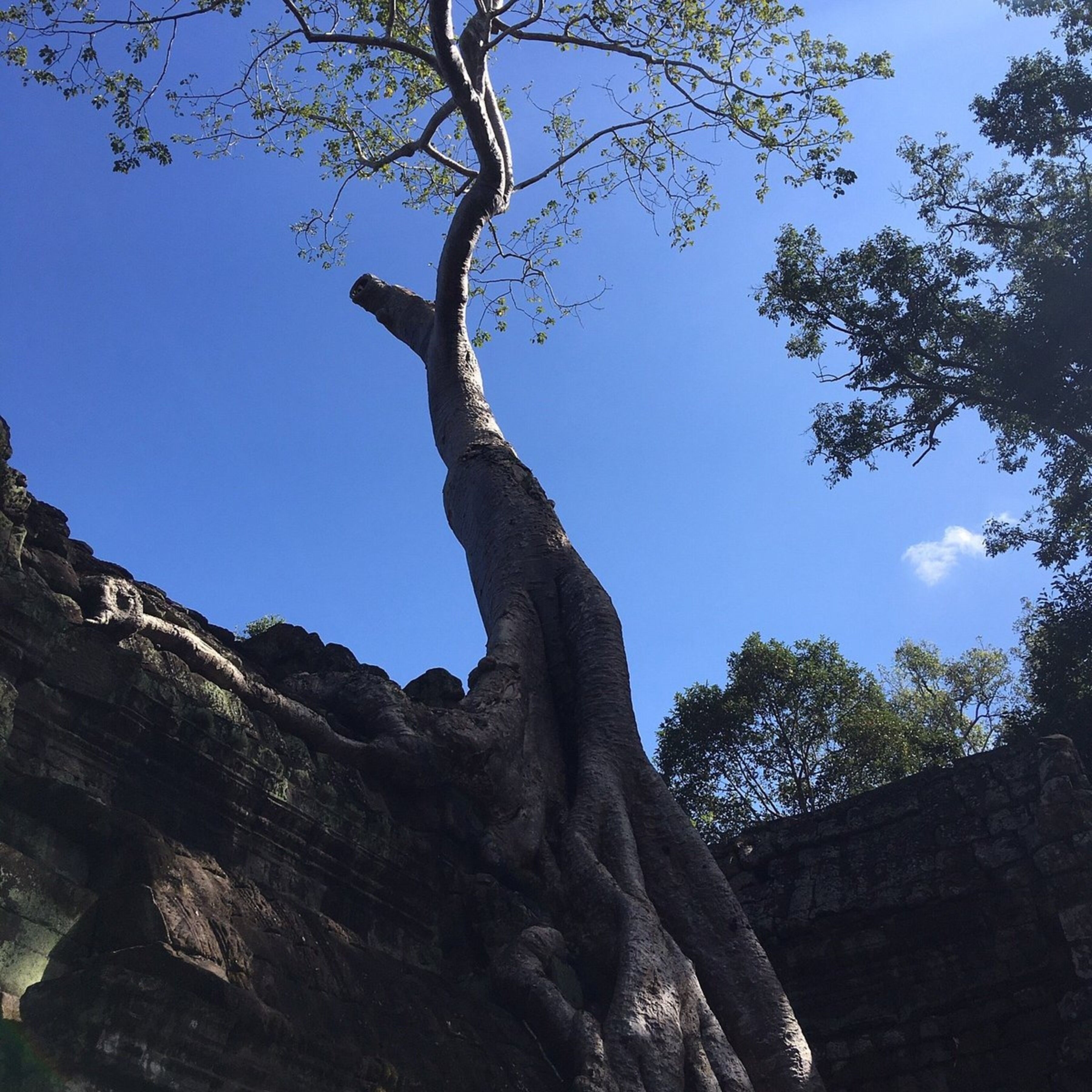 Foto - Siemreap Vasinh Residence