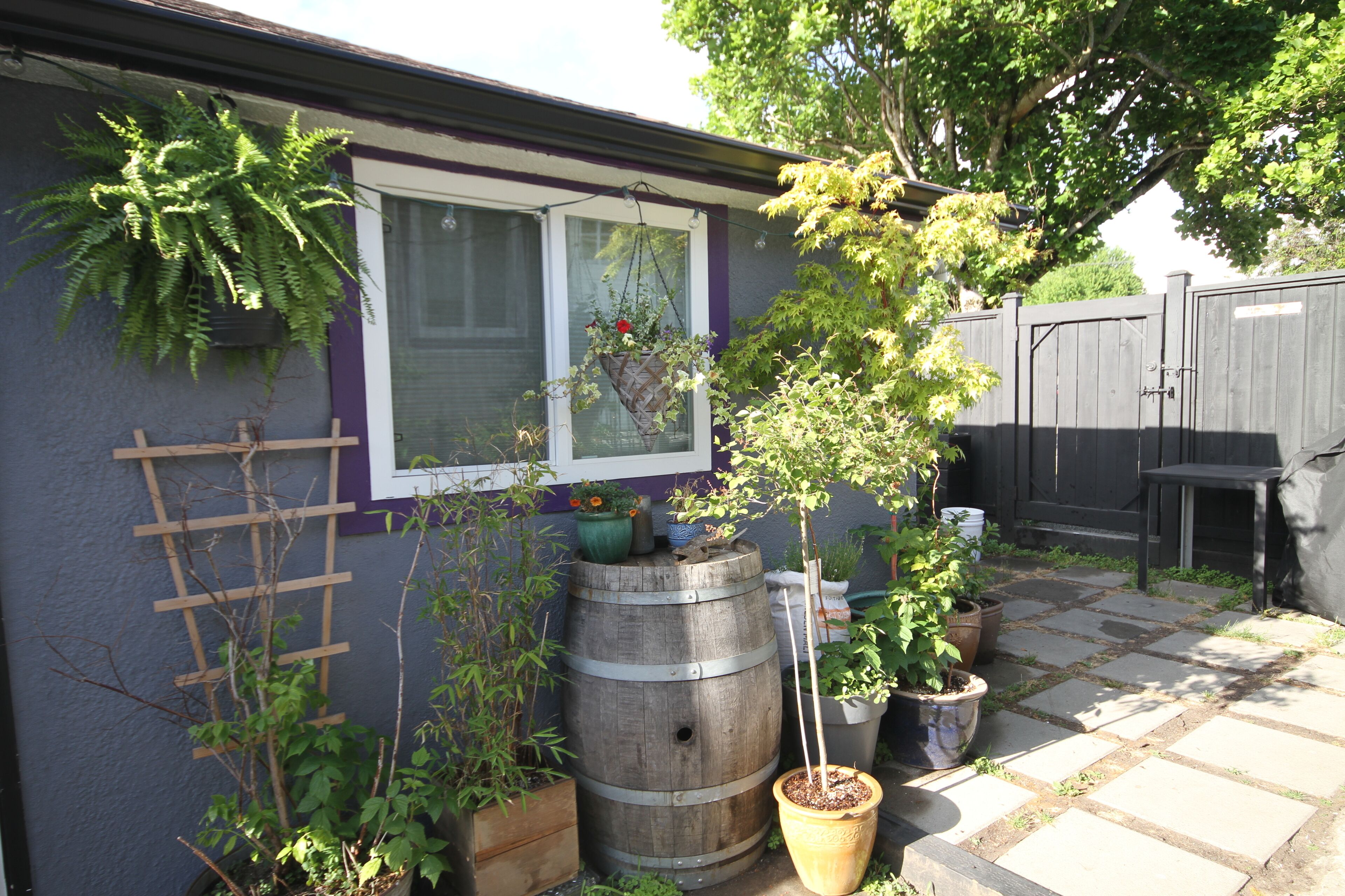 Cozy Sunrise Suite in hip East Van neighbourhood
